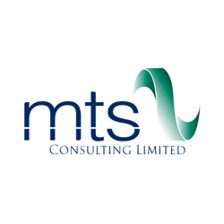 mts consulting